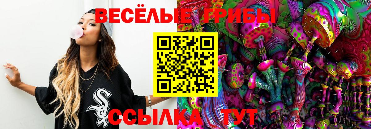 Ейск  сколько стоит  Вход с VPN  Галлюциногенные грибы мухоморы  Псилоцибиновые грибы прущие грибы 